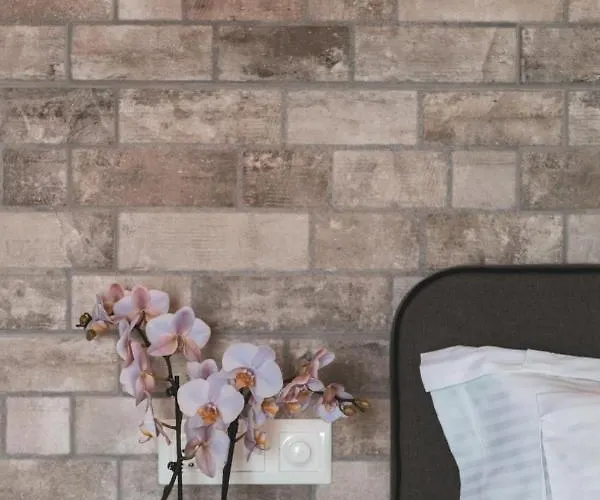 Dikap Luxury Aparts アパート リメナリア